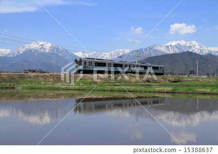 Spring of the Otoro Line 15388637