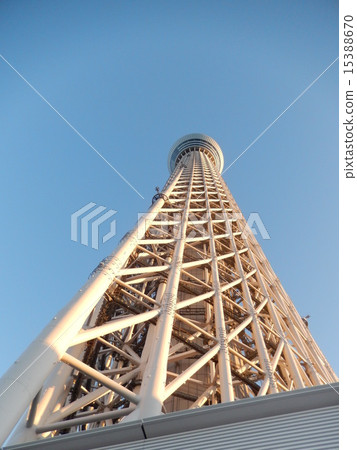 東京天空樹從正下方抬起頭 15388670