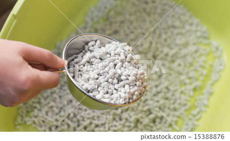 貓的廁所 貓的廁所 15388876