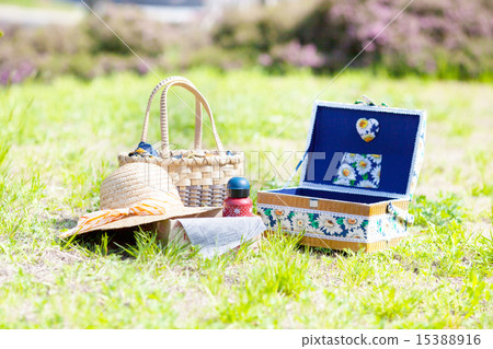 野餐在公園享受 野餐在公園享受 15388916