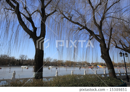 北京北京北海 北京北京北海 15389851