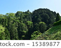樹木	 15389877