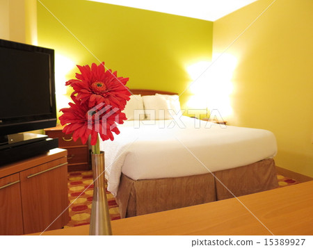 1 room in a hotel in the USA 1 room in a hotel in the USA 15389927