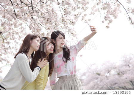櫻花和三位年輕女士 15390195