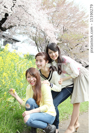 Cherry blossoms and three young ladies 15390279