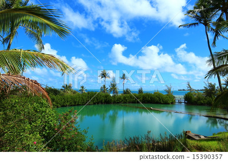 View from coconut island off Kaneohe Bay View from coconut island off Kaneohe Bay 15390357