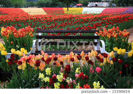 替補席459 15390659