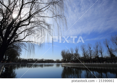 北京北京北京海洋公園海洋 15390661