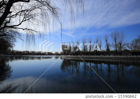 北京北京北京海洋公園海洋 15390662