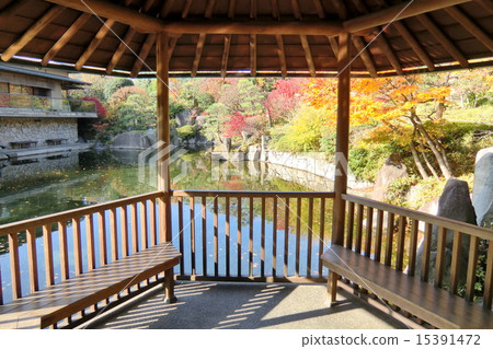 Mejiro garden in Toshima-ku Tokyo (autumn) 15391472