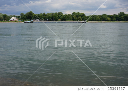 Rhine Mainz 15391537