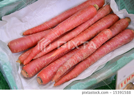 Golden ginseng Golden ginseng 15391588