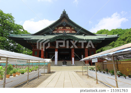 Taikoin Taikoin 15391763