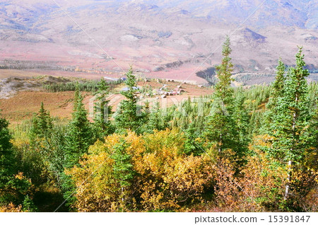 Alaska · Denali National Park 15391847