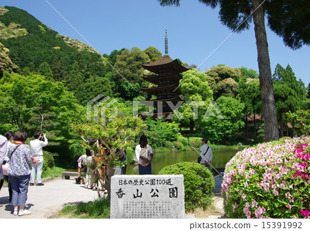 Rurikoji Temple 5 stories and tourists 15391992
