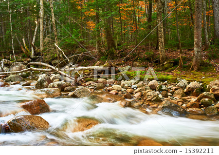 Sabbaday Falls in White Mountain National Forest 15392211