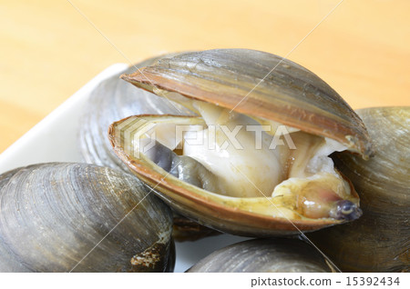 好運 好運 15392434