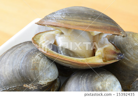 好運 好運 15392435