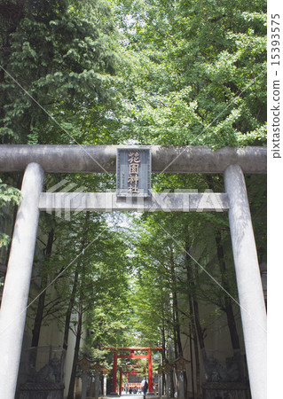 Hanazono shrine torii (Yasukuni Street side) 15393575