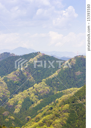 Fresh green ridge Fresh green ridge 15393580