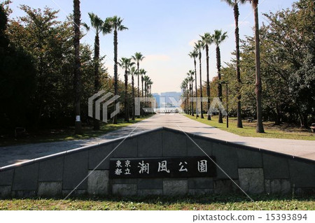 Odaiba的海風公園 Odaiba的海風公園 15393894