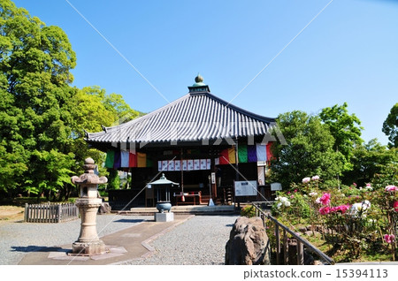 Otokunitera Otokunitera 15394113