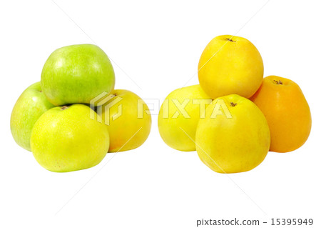 Two heaps of ripe apples.Isolated. Two heaps of ripe apples.Isolated. 15395949