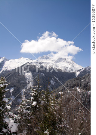 Pinzgau, Austria Pinzgau, Austria 15396877