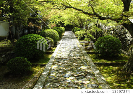 Kyotanabe-shi Konen-anan Ichinomiya Temple 15397274