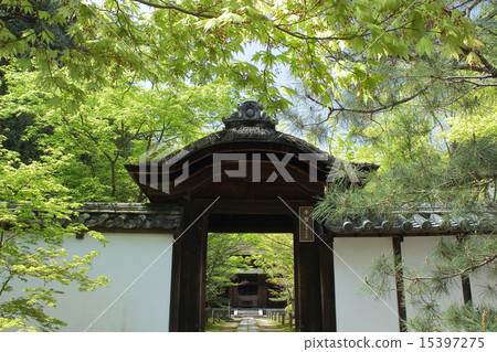 Kon本 - 一宮市的京田部市新鮮的綠色 15397275