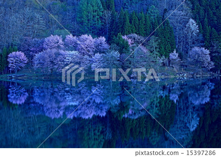 Nakatsuni湖和馬斯喀特的黎明 15397286
