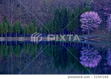 Dawn of Lake Nakatsuni and Muscat Dawn of Lake Nakatsuni and Muscat 15397288
