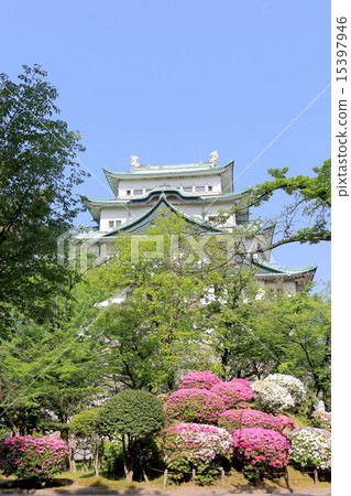 名古屋城堡 15397946