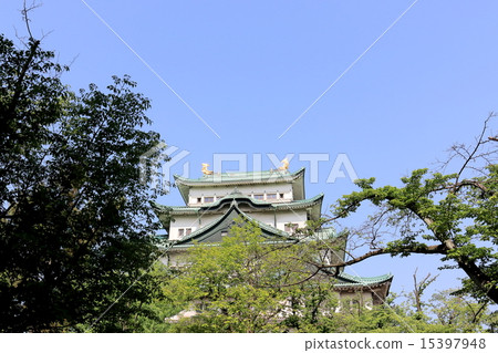 Nagoya Castle  15397948