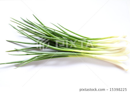 Blue onion 15398225
