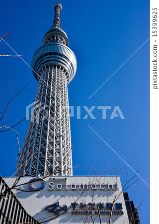 東京天空樹 15399625