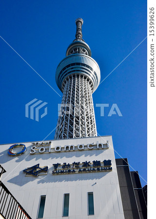 東京天空樹 東京天空樹 15399626