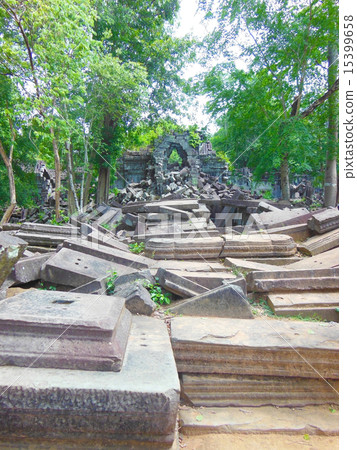 本梅利亞 本梅利亞 15399658