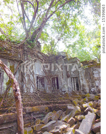 本梅利亞 本梅利亞 15399663