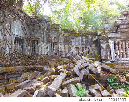 本梅利亞 本梅利亞 15399665