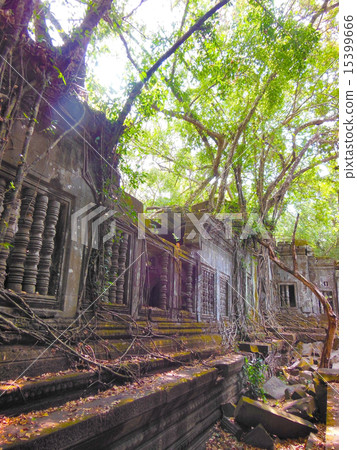 本梅利亞 15399666