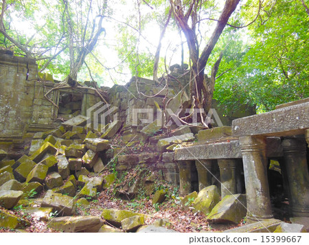 本梅利亞 本梅利亞 15399667