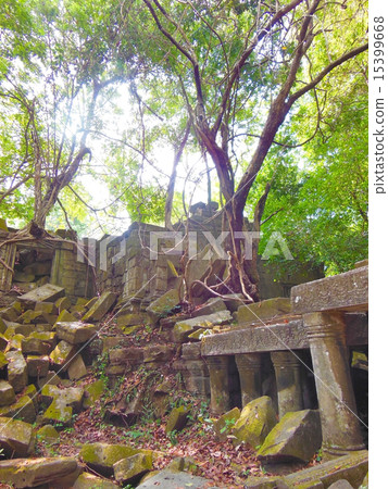 本梅利亞 本梅利亞 15399668