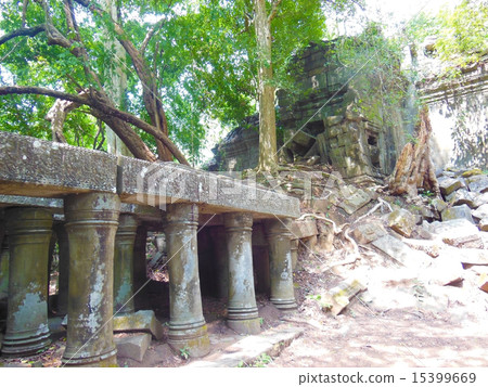 本梅利亞 本梅利亞 15399669