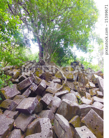 本梅利亞 本梅利亞 15399671