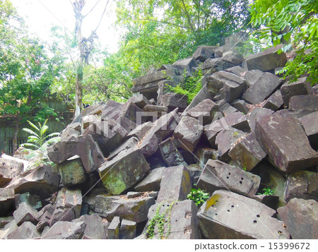 本梅利亞 本梅利亞 15399672