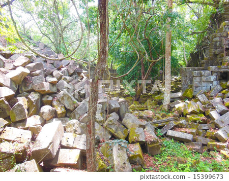 本梅利亞 本梅利亞 15399673