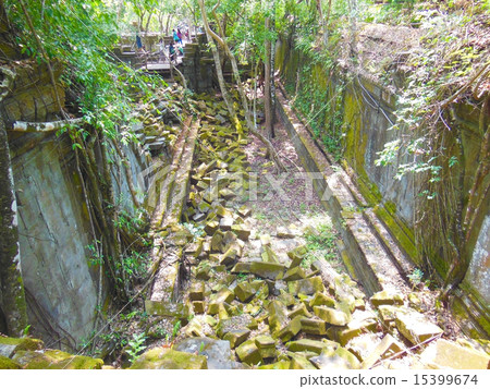 本梅利亞 本梅利亞 15399674