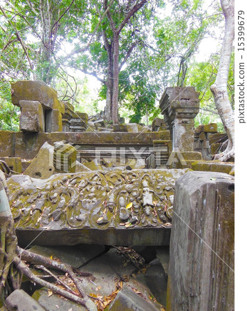 本梅利亞 本梅利亞 15399679