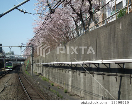 山手線E231內部Sugaru站 山手線E231內部Sugaru站 15399919